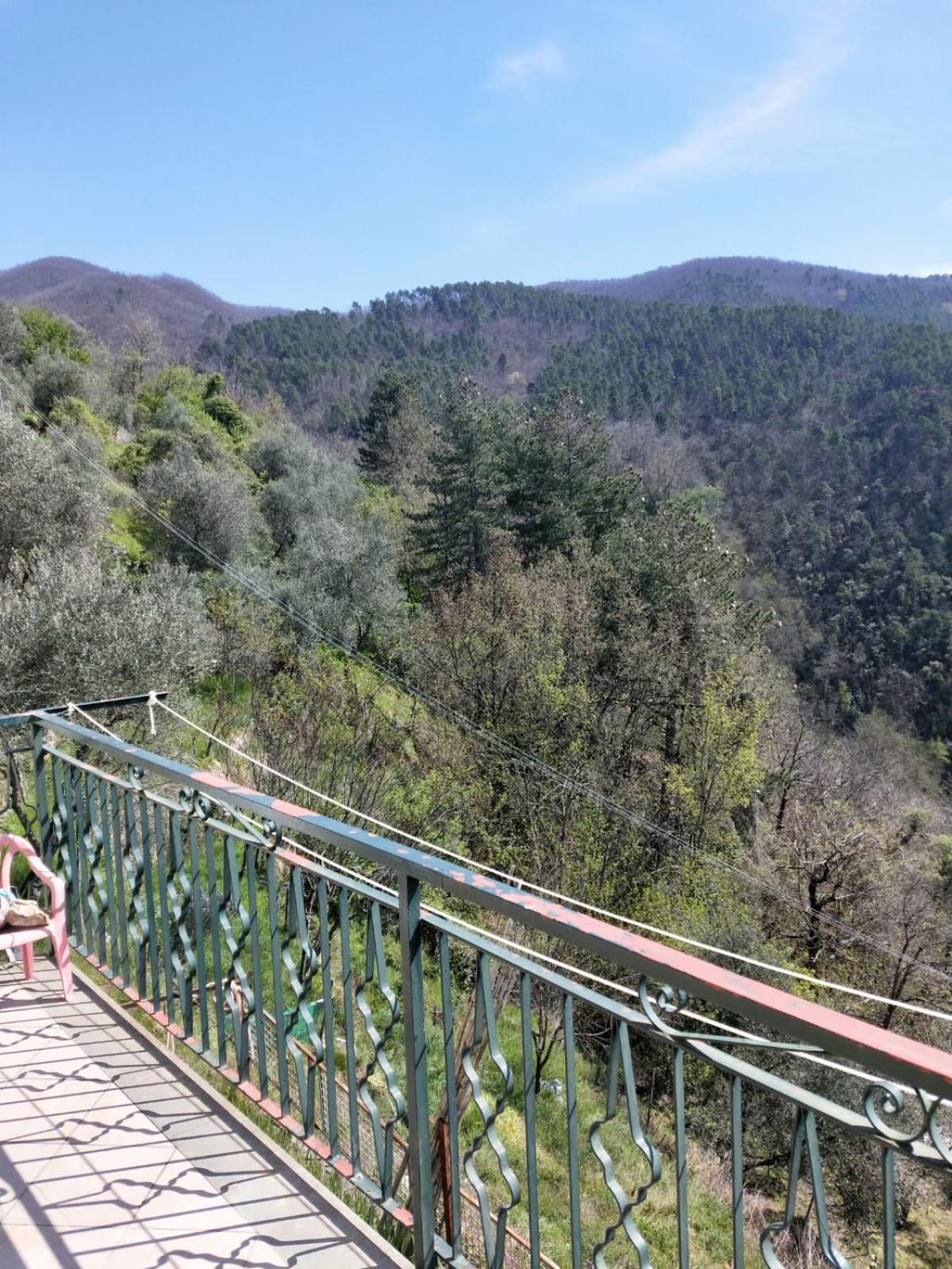 Il Nido Verde Groppo  Kültér fotó